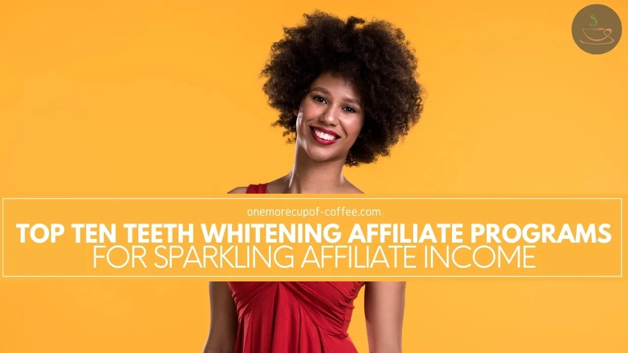 24733 creating content for affiliate