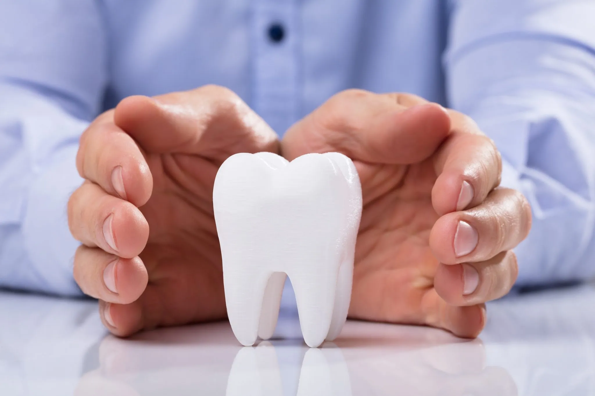 24877 dental insurance coverage