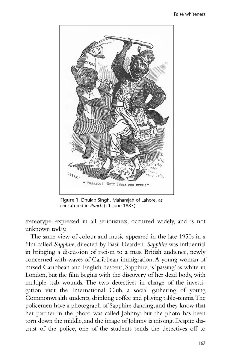 24908 cultural perspectives