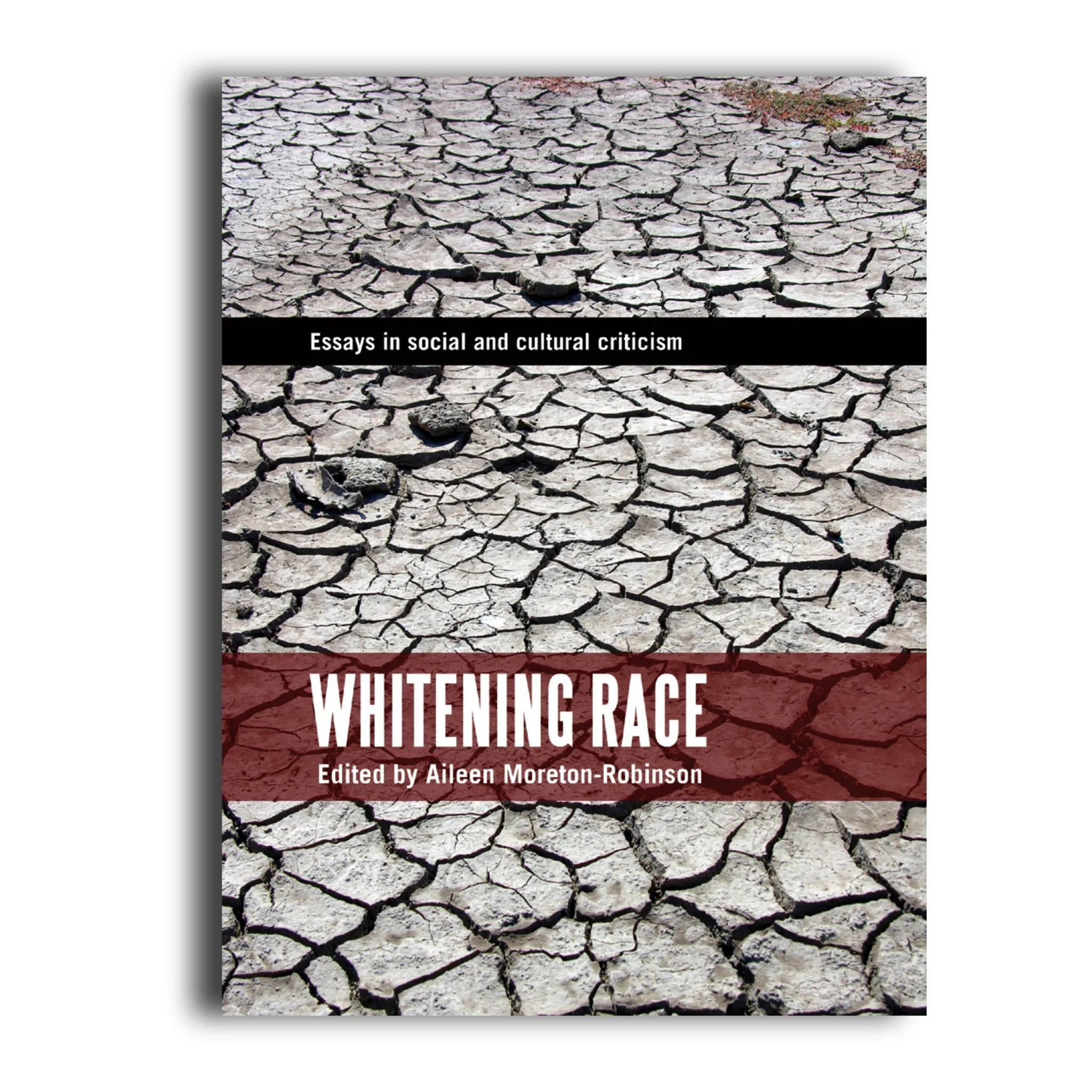 24908 whitening procedures
