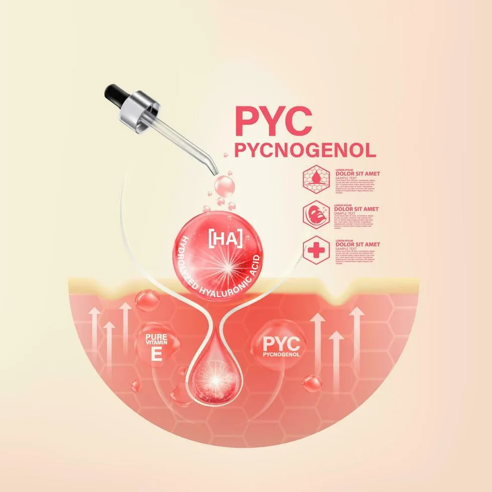 24958 pycnogenol skin whitening image6