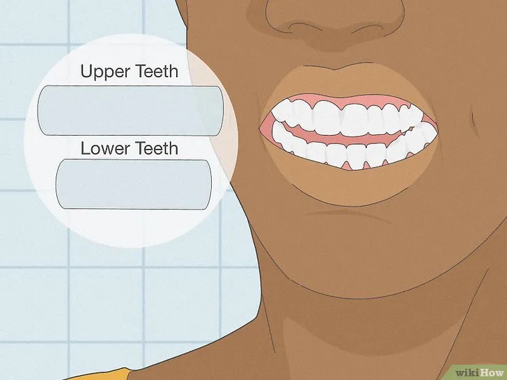 24971 healthy gums